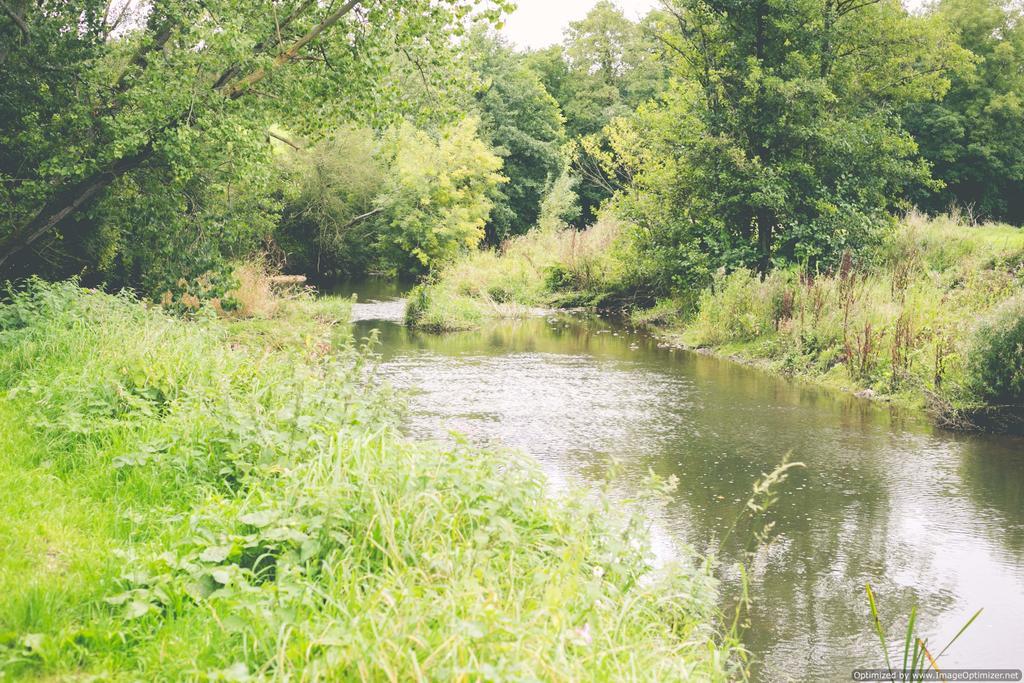 Weycroft Mill House Bed And Breakfast Axminster Dış mekan fotoğraf